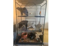 second hand ferret cage